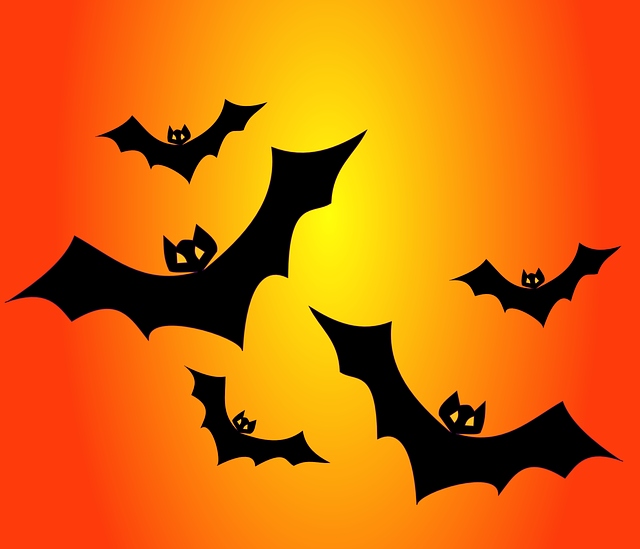 bats image