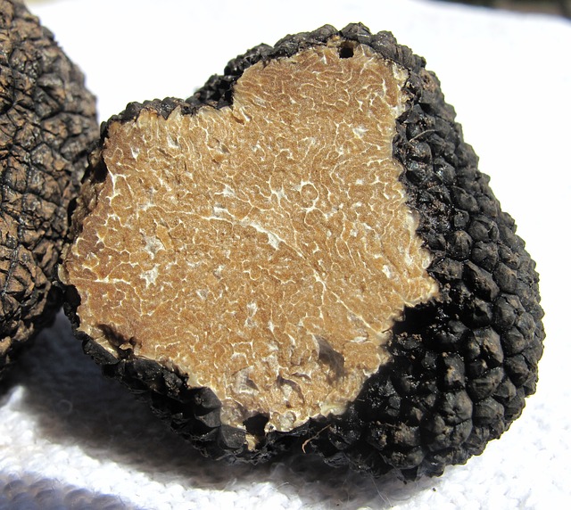expensive truffle