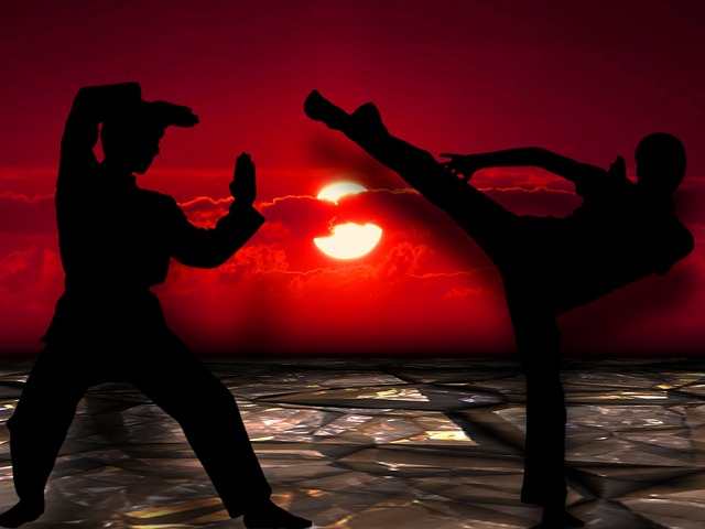 martial arts 