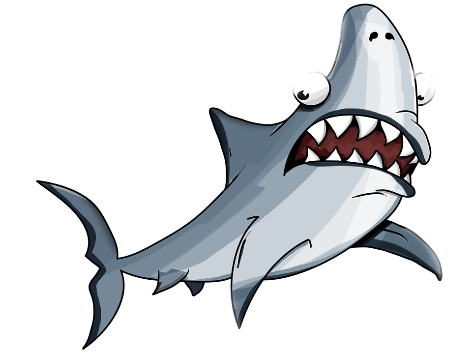Fun Shark Facts For Kids Cool Kid Facts