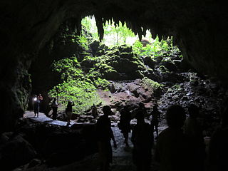rio-camuy-cave-park