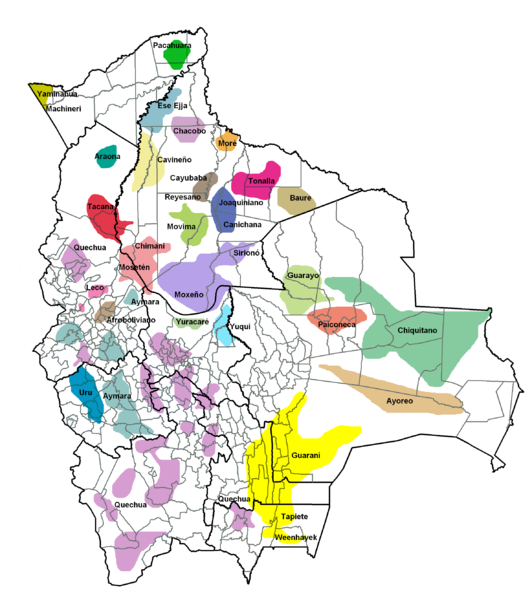 Bolivia Languages
