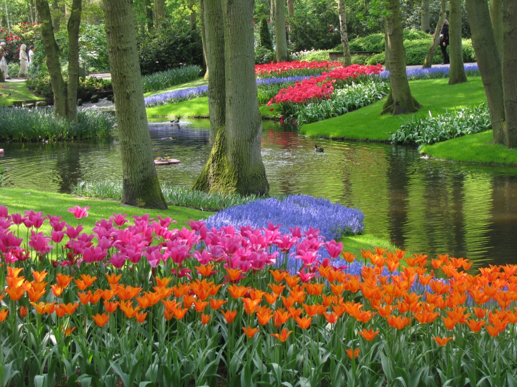 flowers Netherlands