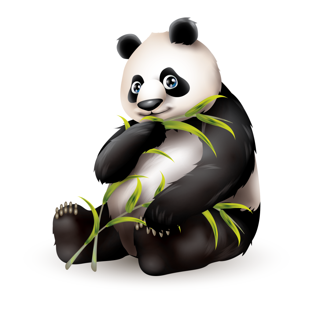 panda fur