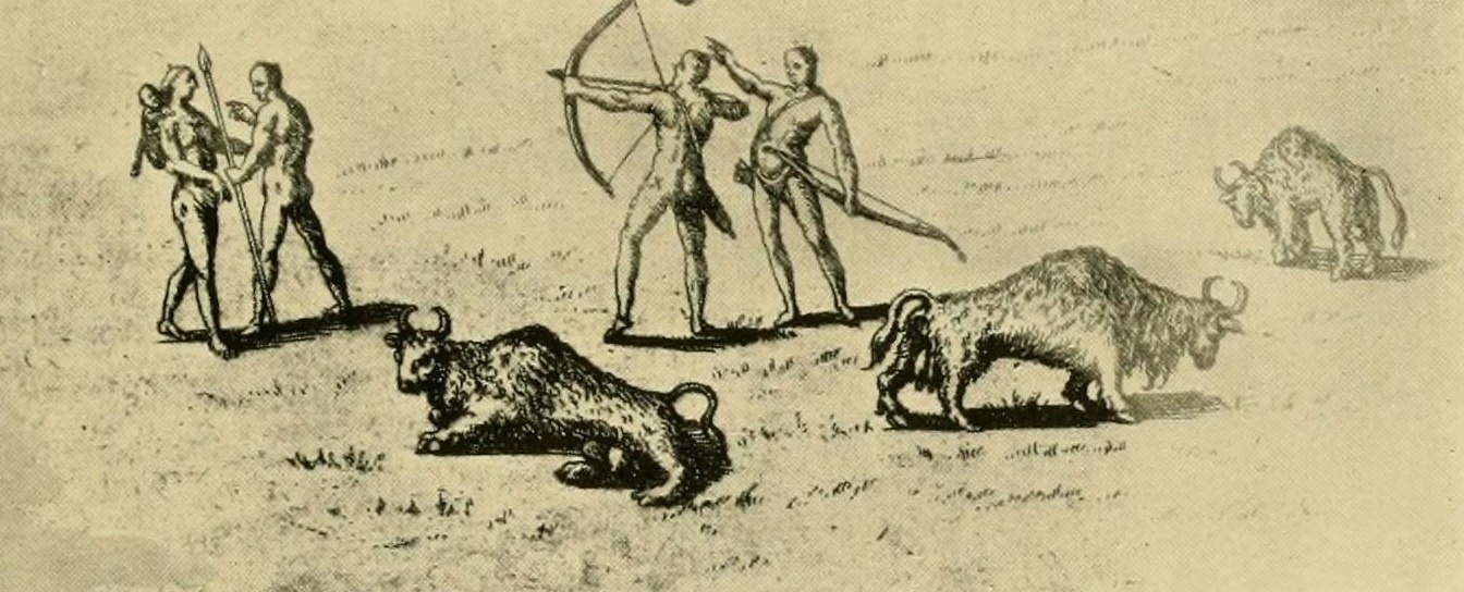 Bison And Indians Of De Bry
