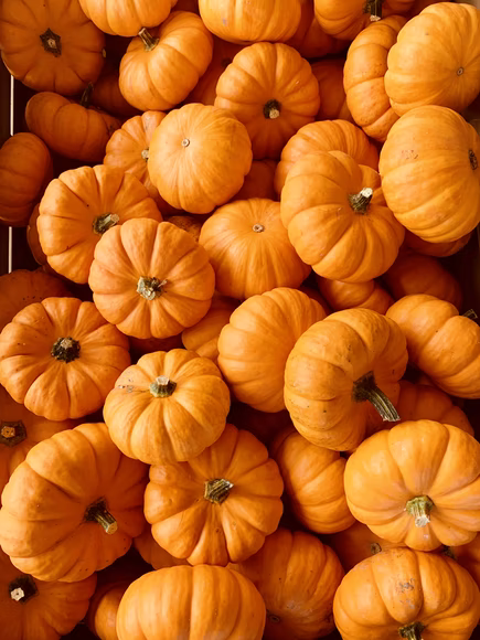 Interesting Facts About Pumpkins