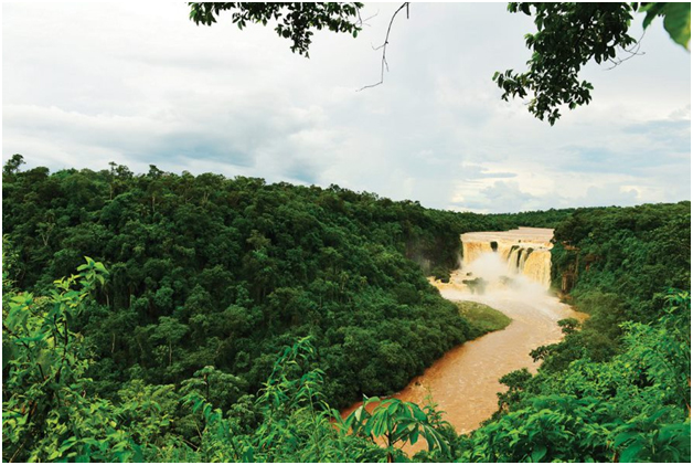 Paraguay Natural View