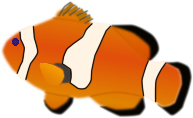 Clownfish - Appearance