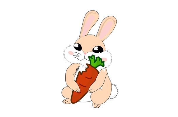 Rabbits cannot survive on carrots