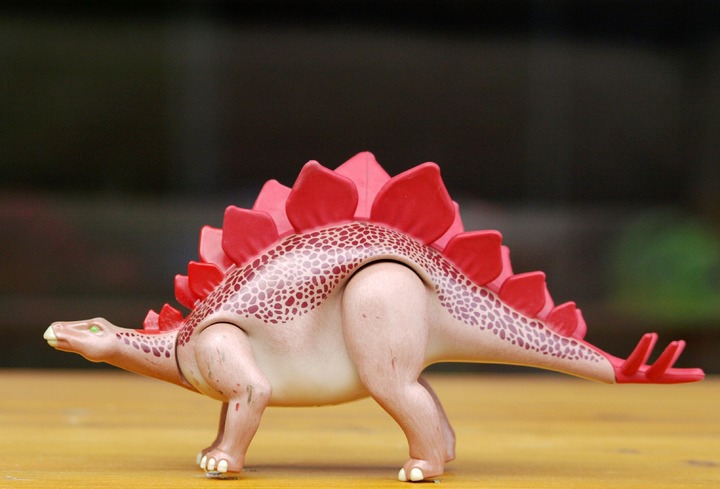 Stegosaurus is known for its distinct body structure