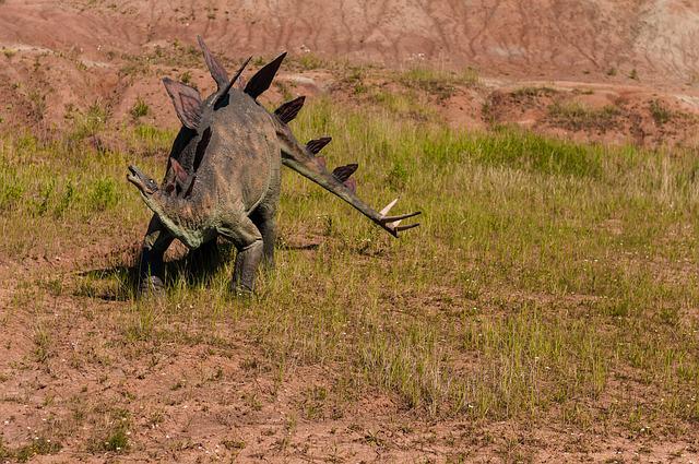 Stegosaurus Facts For Kids