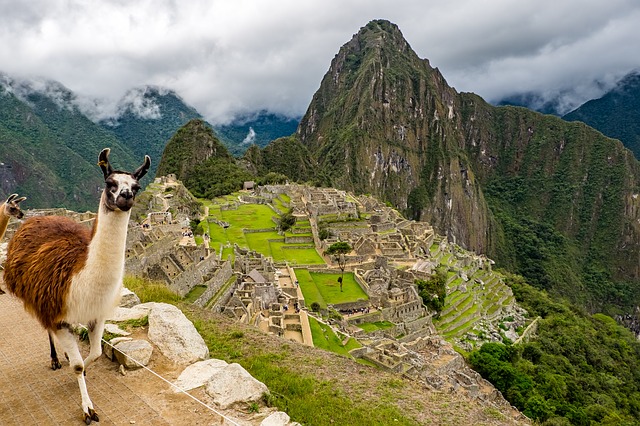 Machu Picchu is home to Llamas
