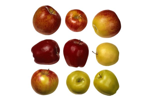There are over 7,500 varieties of apples