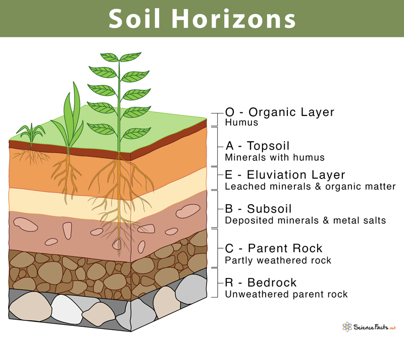 soil layers