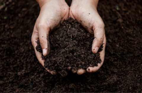 soil facts for kids 