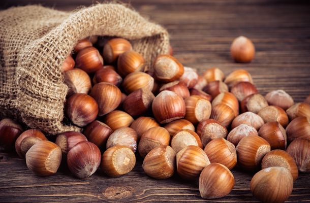 Turkey supplies hazelnuts to the rest of the world