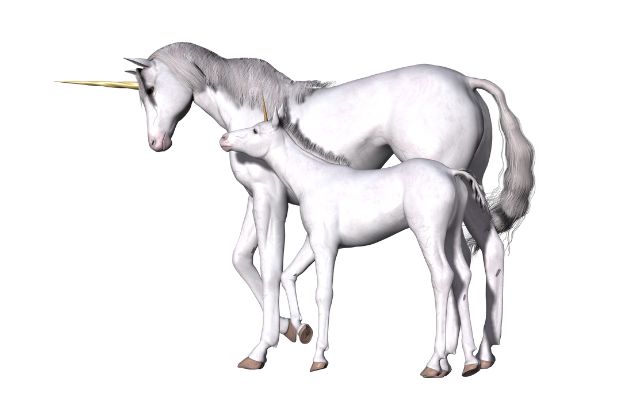 Unicorn horns