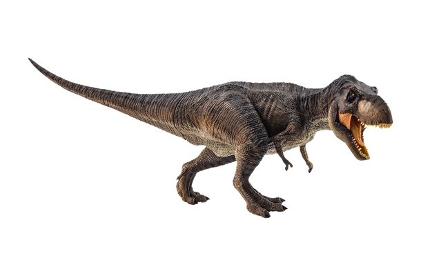 tyrannosaurus might have been a fast walker