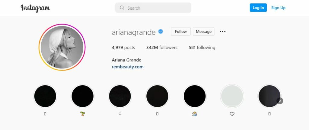 Ariana Grande's Instagram followers