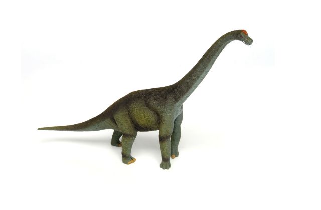 Brachiosaurus Facts