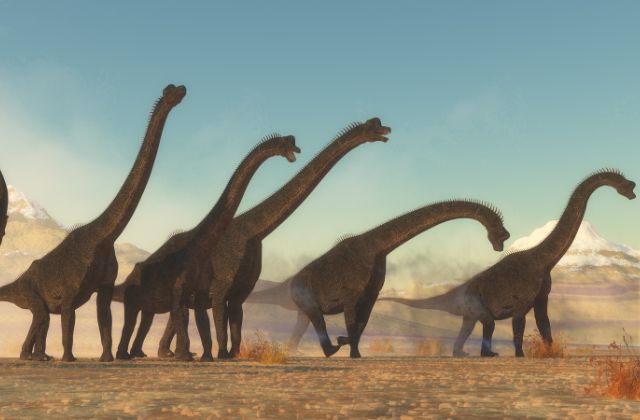 Brachiosaurus herds