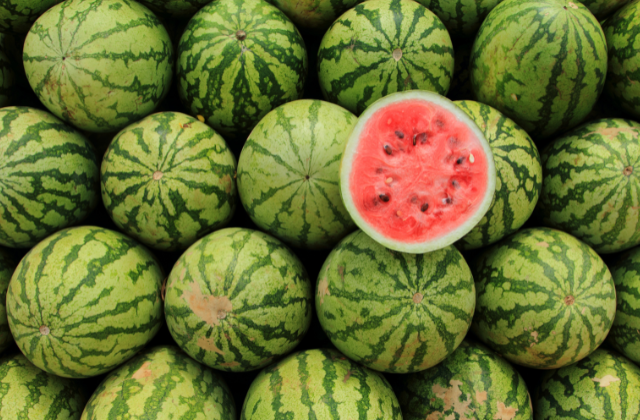 Watermelon Facts for Kids