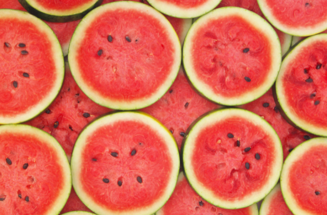 Watermelon Round Slice