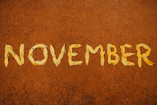 14 Amazing Facts About November