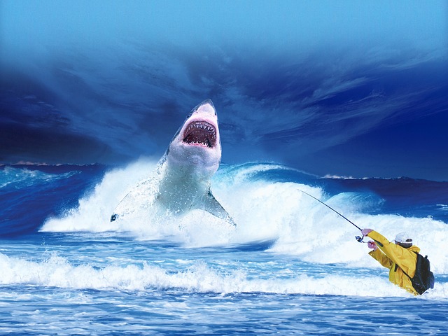 Amazing Facts about Great White Shark