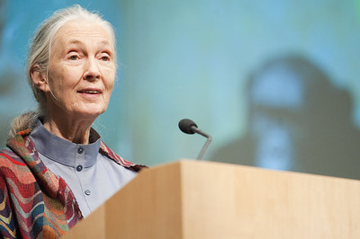 Facts about Jane Goodall