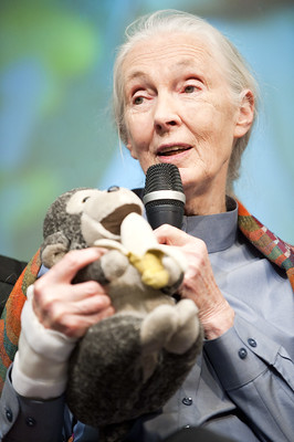 about Jane Goodall