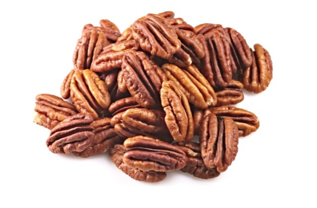 Alabama's official nut